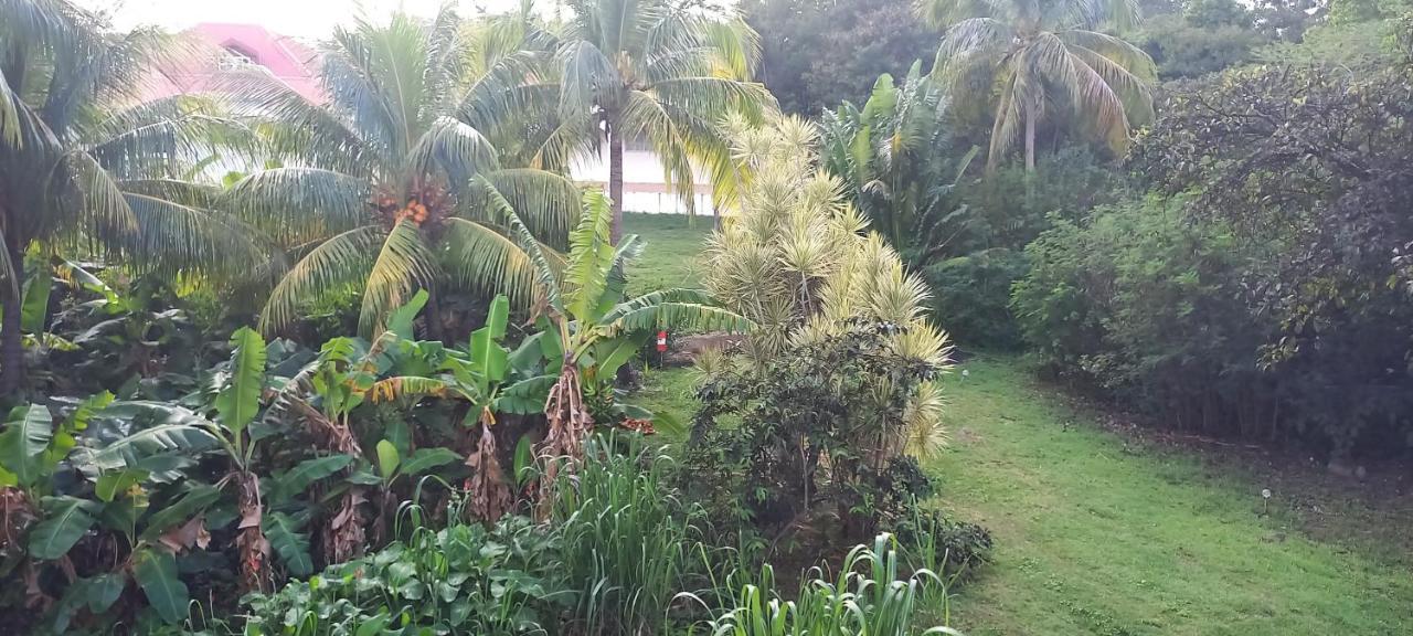 Chez Josette Villa Pointe-Noire Ngoại thất bức ảnh